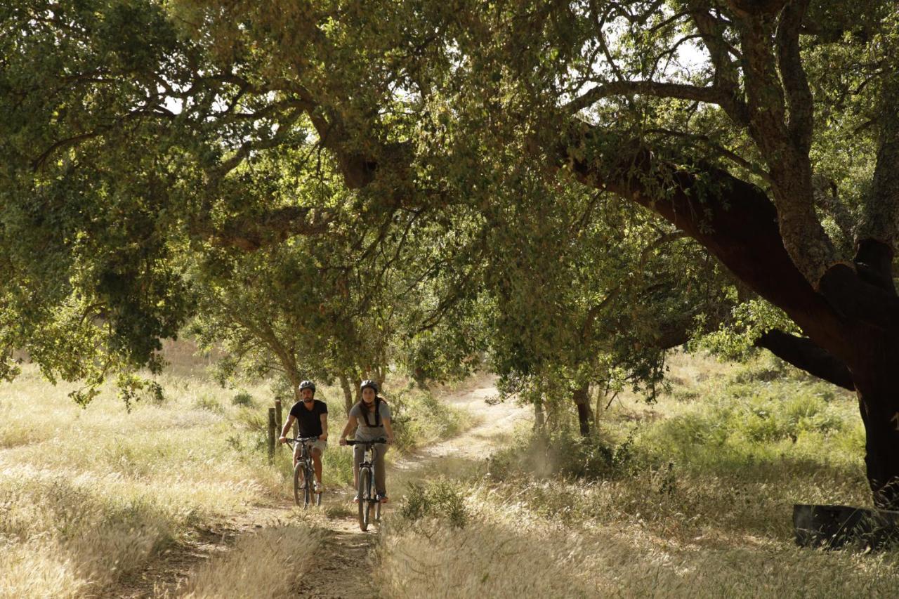 Herdade Da Matinha Country House & Restaurant Cercal do Alentejo Bagian luar foto