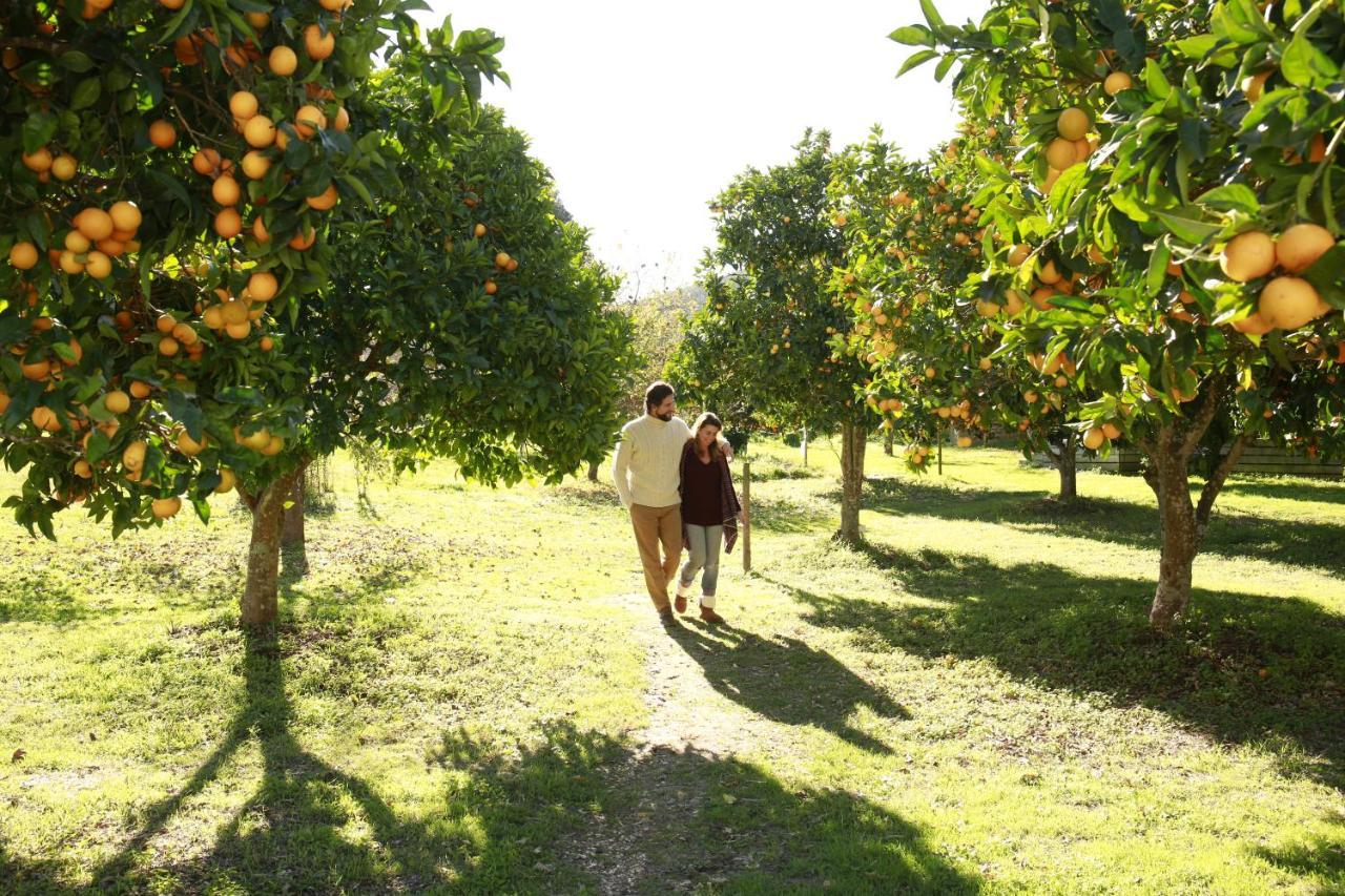 Herdade Da Matinha Country House & Restaurant Cercal do Alentejo Bagian luar foto